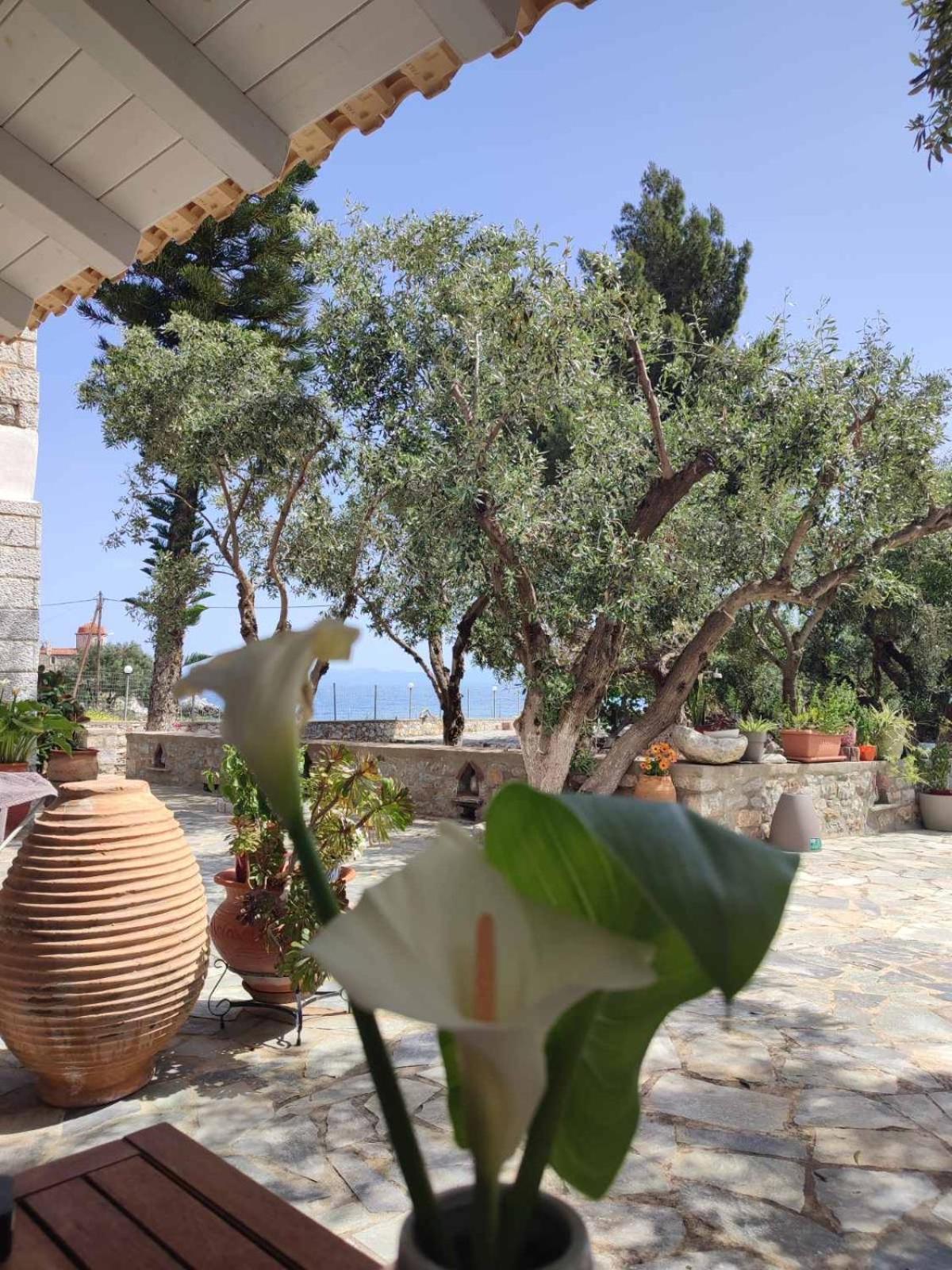 Hotel Ktima Zaxarias Kokkala Exterior foto